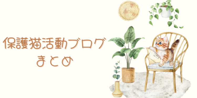 cook 今日なに作ろ？